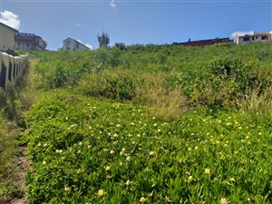 785 m² Land available in Knysna Heights