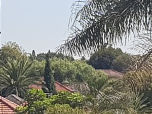 3 Bed House in Orange Grove