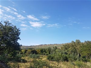 9080 m² Land available in Poortview