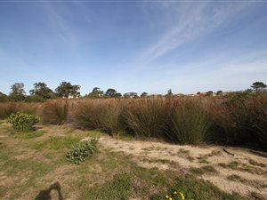 1462 m² Land available in Goose Valley Golf Estate