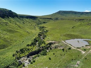 1989 ha Farm in Harrismith
