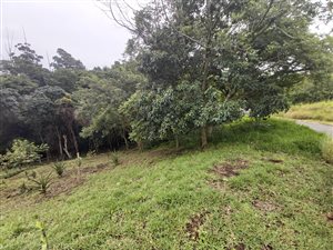 1157 m² Land available in Eshowe