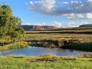 104 ha Farm in Fouriesburg