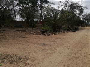 29 ha Farm in Tzaneen