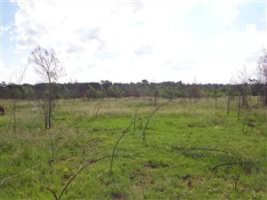 322 m² Land available in Mooikloof Country Residences