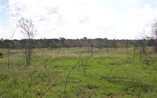 322 m² Land available in Mooikloof Country Residences