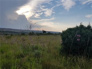 5 ha Land available in Cullinan and Surrounds