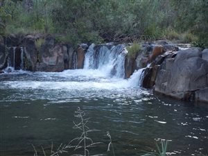 Game Farm in Groot Marico