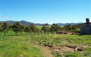 1216 m² Land available in Napier