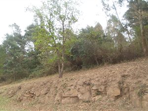1.8 ha Land available in Drummond