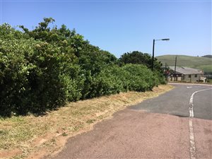 1110 m² Land available in Tinley Manor and surrounds