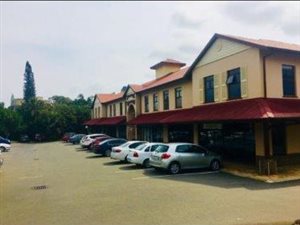1 Bed Apartment in Shelly Beach