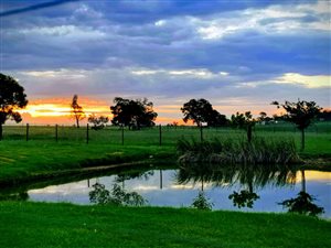 8.5 ha Farm in Tarlton