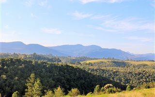 20 ha Land available in Plettenberg Bay
