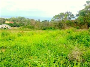 1100 m² Land available in Umkomaas