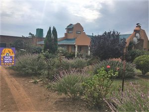 1.6 ha Farm in Ophir AH