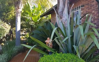 3 Bedroom House in Van Riebeeck Park