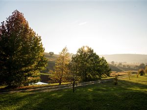 22 ha Farm in Lions River