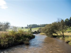 22 ha Farm in Lions River