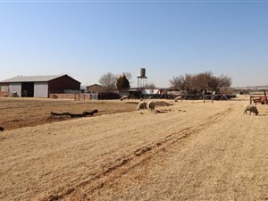 8.5 ha Farm in Wilgeboom AH