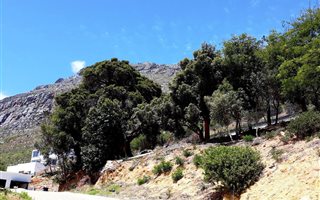 592 m² Land available in Lakeside