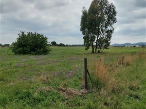 2.1 ha Farm in Helderstrome AH