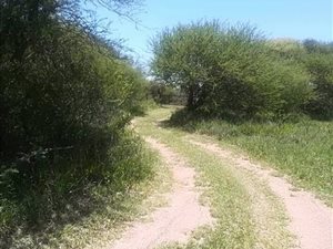 21.2 ha Farm in Mookgophong (Naboomspruit)