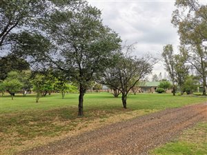 4 ha Farm in De Deur