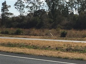 36 ha Land available in Donkerhoek