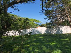 1371 m² Land available in Mtunzini
