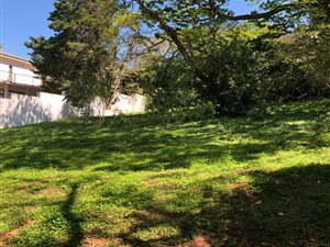 1371 m² Land available in Mtunzini