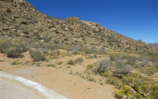 868 m² Land available in Springbok