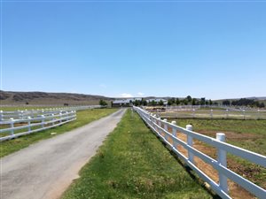4 Bed House in Dullstroom