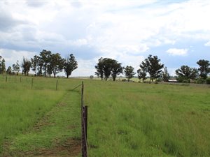9913 m² Land available in De Deur