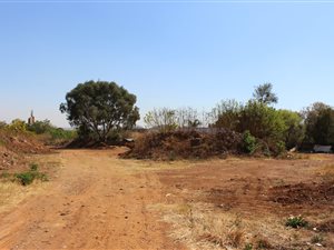 1 ha Land available in Celtisdal