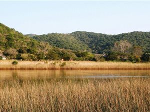 157.2 ha Farm in Beacon Bay