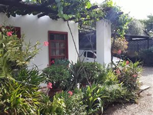 10 Bed House in Hatfield