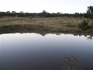 75.6 ha Farm in King Williams Town