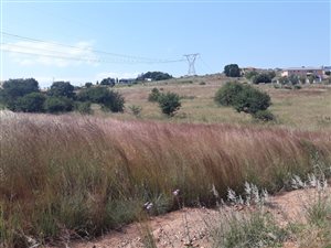 1 m² Land available in Rietvlei View