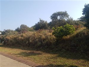 1363 m² Land available in Khamanga Bay