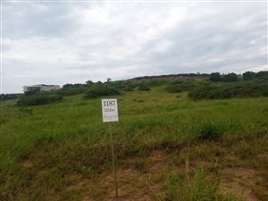 1212 m² Land available in Sheffield Beach
