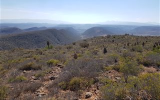 500 ha Farm in Ladismith