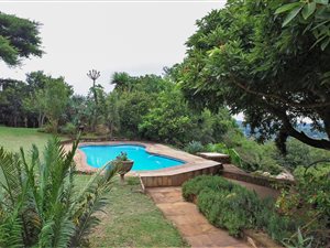 12 Bedroom House in White River