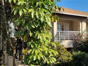3 Bed Apartment in Houghton Estate