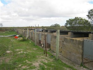 2.5 ha Farm in Hopefield