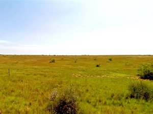 361 ha Farm in Hertzogville