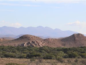 2807 ha Farm in Willowmore