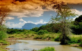 1 ha Land available in Zandspruit Bush and Aero Estate