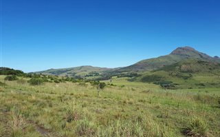 11.3 ha Land available in Kokstad