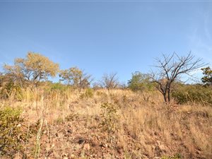 6.9 ha Land available in Montana Park